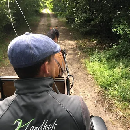 Landhof Kuetzin 6 Specht