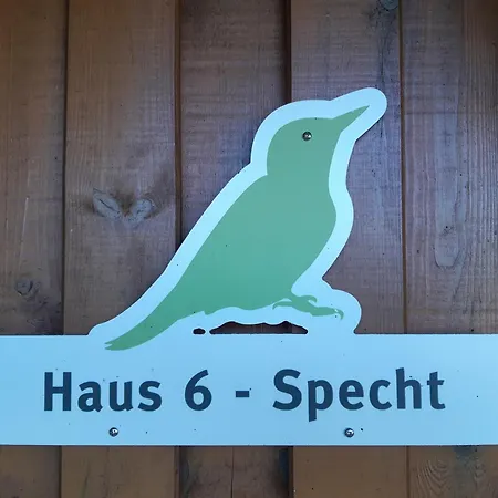 Landhof Kuetzin 6 Specht *