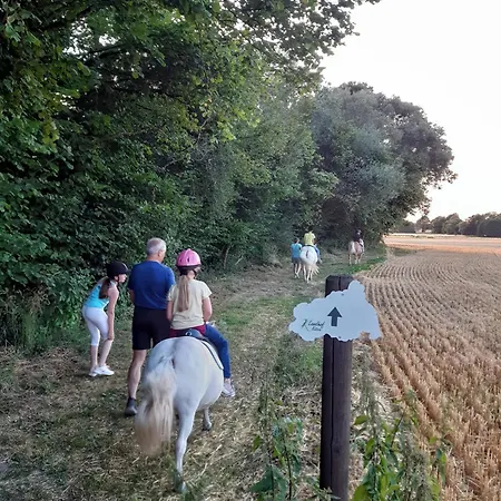 Дом отдыха Landhof Kuetzin 6 Specht